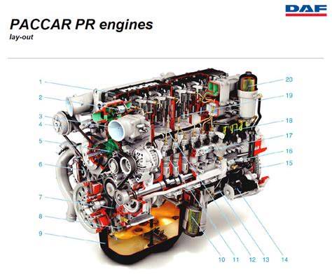 A DAF XF PACCAR MX motorblokkjának metszeti ábrája