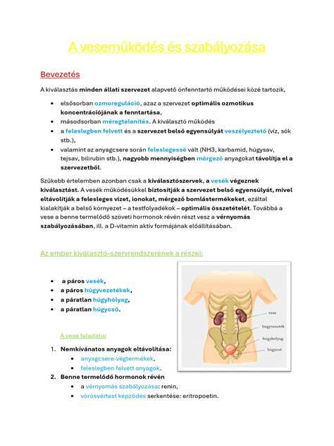 veseműködés és vízháztartás infografika