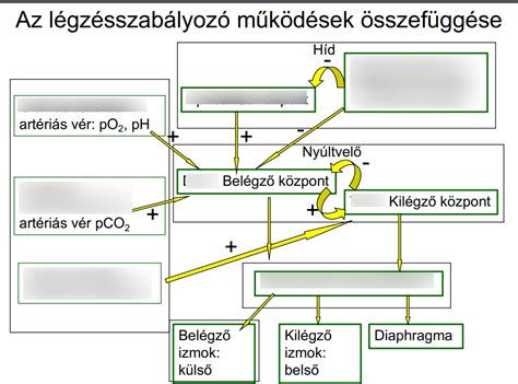 Autófesték-vastagságmérő működés közben