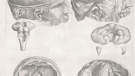Az ÁFA levonhatóságának és a bekerülési értéknek a kapcsolata