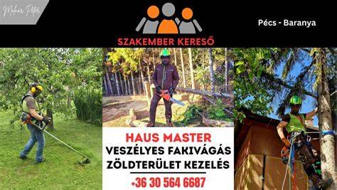 Szakember fényszórót políroz