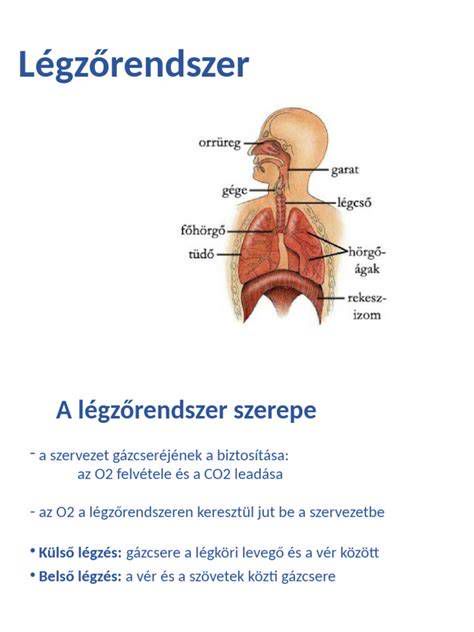 A kismegszakító felépítésének és működésének szemléltetése