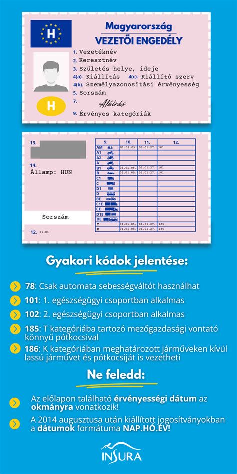 Infografika: Jogosítvány megszerzésének feltételei