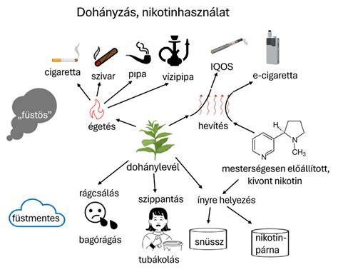 Dohánynövény illusztráció