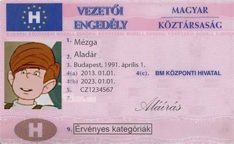 Vezetői engedély kártya