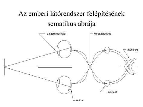 Sütik működésének sematikus ábrája