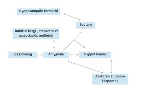 A hűtőfolyadék hőtágulásának sematikus ábrázolása