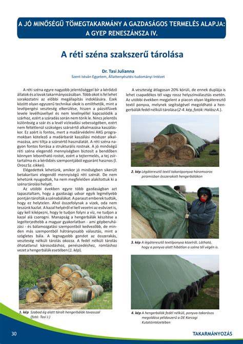 Téligumik szakszerű tárolása
