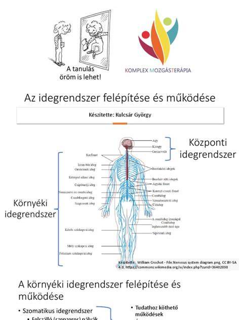Elektronikusan szabályozott lengéscsillapító felépítése