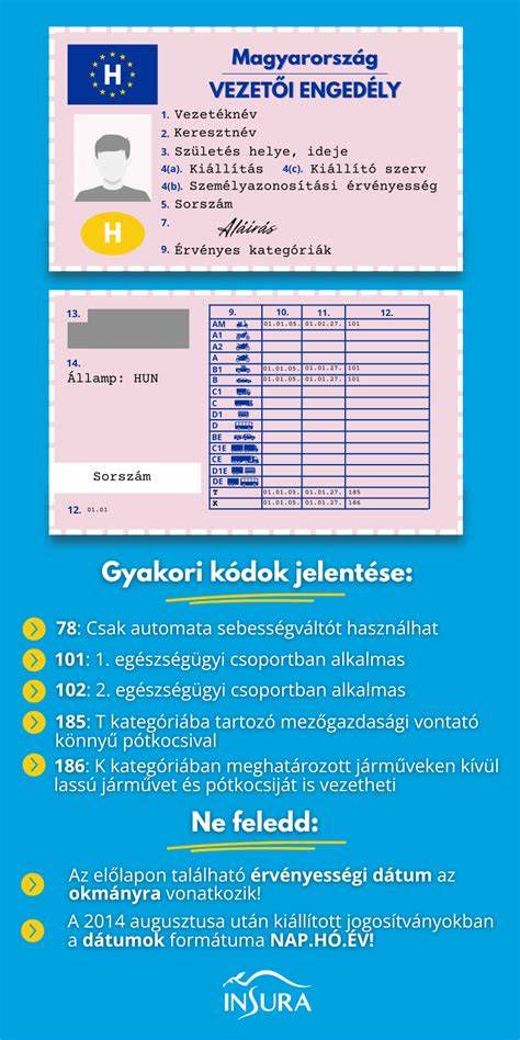 Jogosítvány hátlap kódok magyarázata