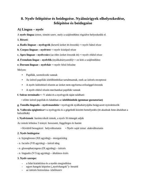 A kipufogórendszer elemeinek elhelyezkedése és felépítése