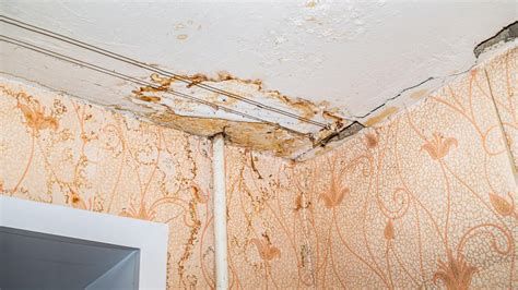 vizes autókárpit és dohosodás jelei