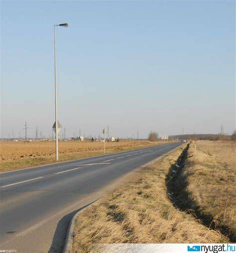 A 31-es út menti fák kivágását dokumentáló fotó