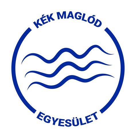 A Kék Maglód Egyesület képviselői egy közösségi eseményen